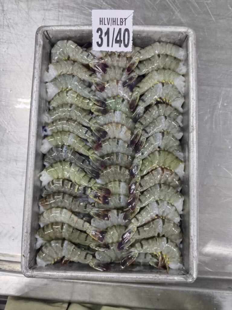 Shrimps Frozen India (Petal Exports)_1