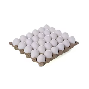 White eggs